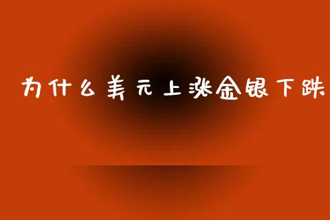 为什么美元上涨金银下跌_https://wap.hpmsj.cn_债券投资_第1张
