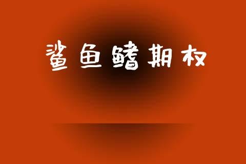 鲨鱼鳍期权_https://wap.hpmsj.cn_基金分析_第1张