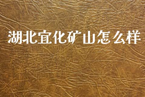 湖北宜化矿山怎么样_https://wap.hpmsj.cn_外汇汇率_第1张