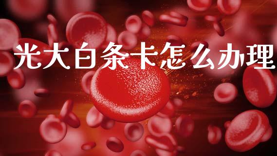 光大白条卡怎么办理_https://wap.hpmsj.cn_期货交易_第1张