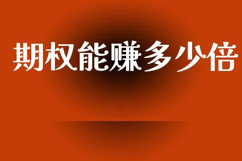 期权能赚多少倍_https://wap.hpmsj.cn_期货交易_第1张