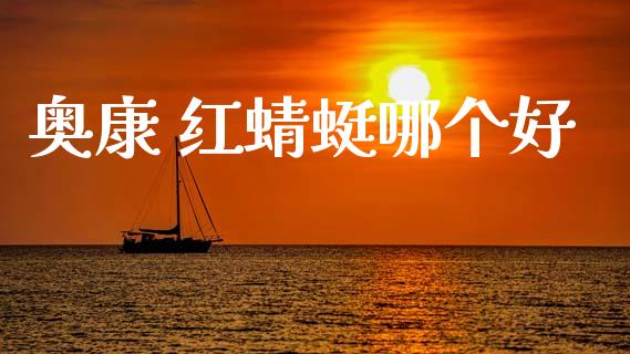 奥康 红蜻蜓哪个好_https://wap.hpmsj.cn_外汇汇率_第1张