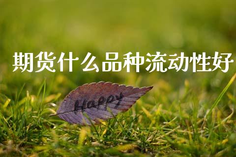 期货什么品种流动性好_财经时评_第1张_财经时评_基金分析_期货交易_金融机构_外汇汇率_债券投资 期货什么品种流动性好_https://wap.hpmsj.cn_财经时评_第1张