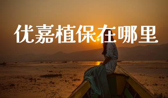 优嘉植保在哪里_https://wap.hpmsj.cn_外汇汇率_第1张