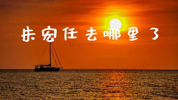 朱宏任去哪里了_https://wap.hpmsj.cn_财经时评_第1张