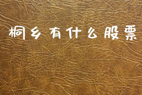 桐乡有什么股票_https://wap.hpmsj.cn_期货交易_第1张