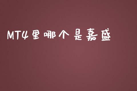 MT4里哪个是嘉盛_https://wap.hpmsj.cn_期货交易_第1张