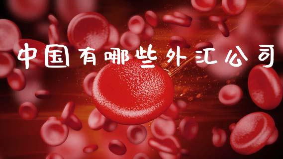 中国有哪些外汇公司_https://wap.hpmsj.cn_期货交易_第1张