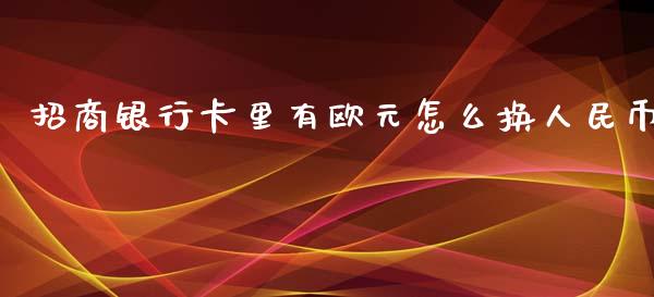 招商银行卡里有欧元怎么换人民币_https://wap.hpmsj.cn_外汇汇率_第1张