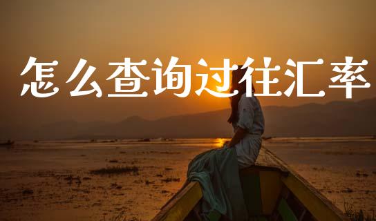 怎么查询过往汇率_https://wap.hpmsj.cn_外汇汇率_第1张