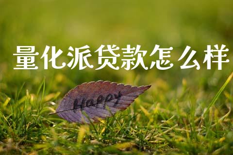 量化派贷款怎么样_https://wap.hpmsj.cn_财经时评_第1张