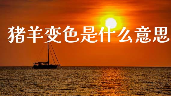 猪羊变色是什么意思_https://wap.hpmsj.cn_期货交易_第1张