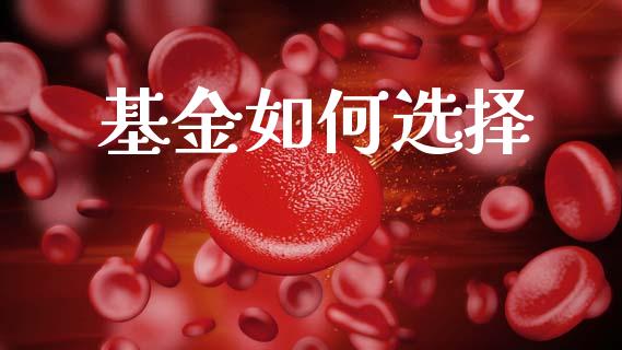 基金如何选择_https://wap.hpmsj.cn_金融机构_第1张