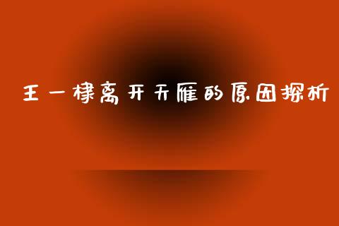 王一棣离开天雁的原因探析_https://wap.hpmsj.cn_期货交易_第1张