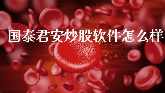 国泰君安炒股软件怎么样_https://wap.hpmsj.cn_财经时评_第1张