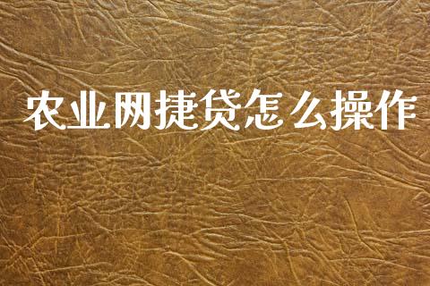 农业网捷贷怎么操作_https://wap.hpmsj.cn_外汇汇率_第1张