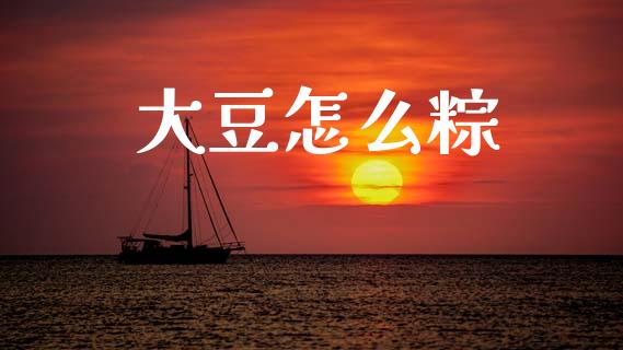 大豆怎么粽_https://wap.hpmsj.cn_债券投资_第1张