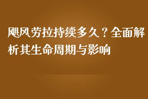 飓风劳拉持续多久？全面解析其生命周期与影响_https://wap.hpmsj.cn_期货交易_第1张