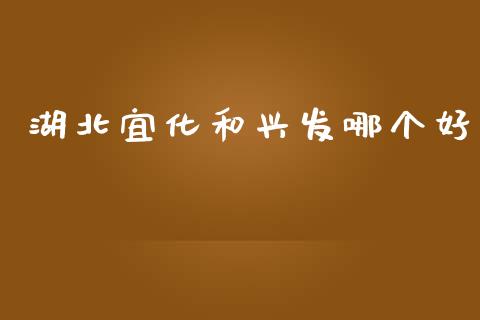 湖北宜化和兴发哪个好_https://wap.hpmsj.cn_金融机构_第1张