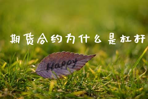 期货合约为什么是杠杆_https://wap.hpmsj.cn_期货交易_第1张