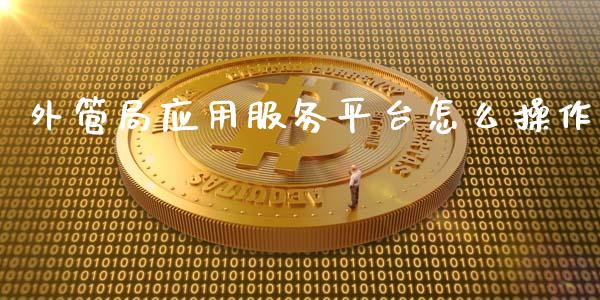 外管局应用服务平台怎么操作_https://wap.hpmsj.cn_金融机构_第1张