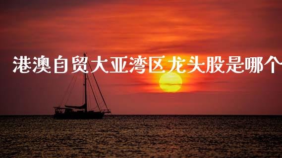 港澳自贸大亚湾区龙头股是哪个_https://wap.hpmsj.cn_债券投资_第1张