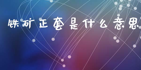 铁矿正套是什么意思_https://wap.hpmsj.cn_外汇汇率_第1张