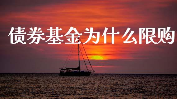 债券基金为什么限购_https://wap.hpmsj.cn_金融机构_第1张