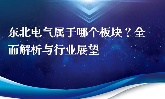 东北电气属于哪个板块？全面解析与行业展望_https://wap.hpmsj.cn_期货交易_第1张