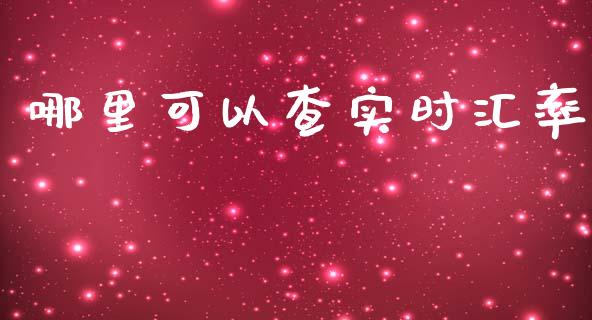 哪里可以查实时汇率_https://wap.hpmsj.cn_财经时评_第1张