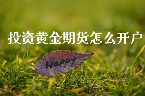投资黄金期货怎么开户_https://wap.hpmsj.cn_金融机构_第1张