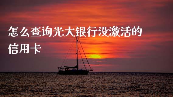 怎么查询光大银行没激活的信用卡_https://wap.hpmsj.cn_债券投资_第1张