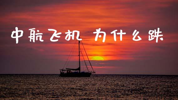 中航飞机 为什么跌_https://wap.hpmsj.cn_期货交易_第1张