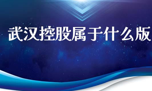 武汉控股属于什么版_https://wap.hpmsj.cn_财经时评_第1张