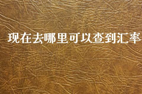现在去哪里可以查到汇率_https://wap.hpmsj.cn_债券投资_第1张