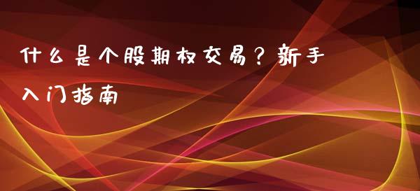 什么是个股期权交易？新手入门指南_https://wap.hpmsj.cn_金融机构_第1张