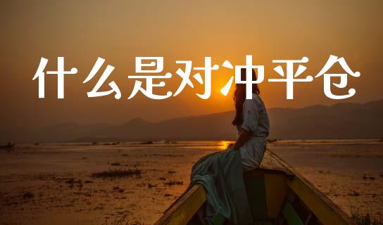 什么是对冲平仓_https://wap.hpmsj.cn_基金分析_第1张