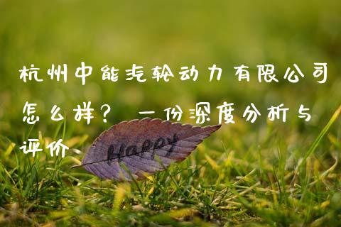 杭州中能汽轮动力有限公司怎么样？ 一份深度分析与评价_https://wap.hpmsj.cn_外汇汇率_第1张