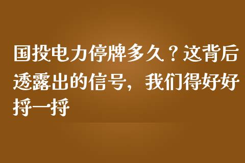国投电力停牌多久？这背后透露出的信号，我们得好好捋一捋_https://wap.hpmsj.cn_金融机构_第1张