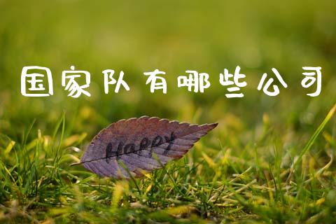 国家队有哪些公司_https://wap.hpmsj.cn_债券投资_第1张