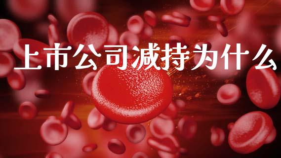 上市公司减持为什么_https://wap.hpmsj.cn_财经时评_第1张