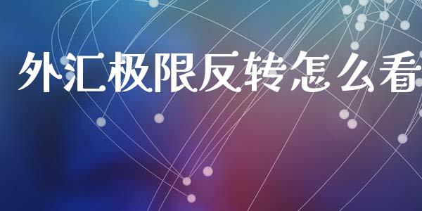 外汇极限反转怎么看_https://wap.hpmsj.cn_外汇汇率_第1张