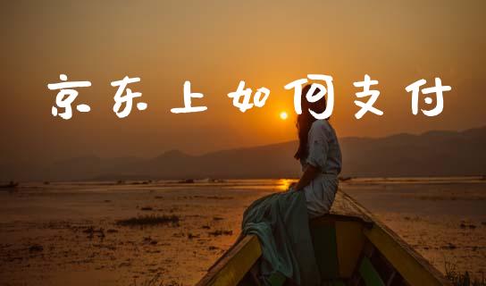 京东上如何支付_https://wap.hpmsj.cn_基金分析_第1张