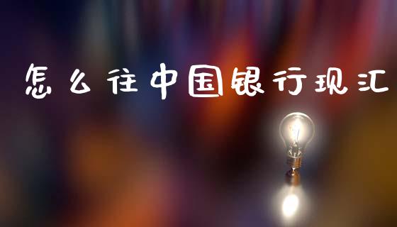 怎么往中国银行现汇_https://wap.hpmsj.cn_基金分析_第1张