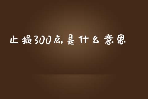 止损300点是什么意思_https://wap.hpmsj.cn_基金分析_第1张