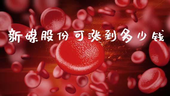 新媒股份可涨到多少钱_https://wap.hpmsj.cn_基金分析_第1张