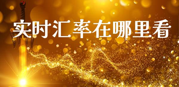 实时汇率在哪里看_https://wap.hpmsj.cn_基金分析_第1张