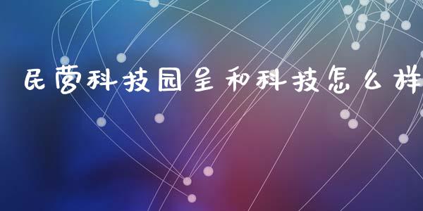 民营科技园呈和科技怎么样_https://wap.hpmsj.cn_基金分析_第1张