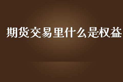 期货交易里什么是权益_https://wap.hpmsj.cn_期货交易_第1张