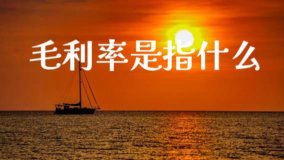 毛利率是指什么_https://wap.hpmsj.cn_基金分析_第1张